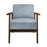 Narcine Accent Chair