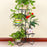 Metal Plant Stand Flower Holder Racks 4 Tier Shelves Patio Indoor Outdoor Garden Displaying Wrought Iron Flowers Planters Shelf Organizer