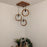 Halo Brown Cluster Hanging Lamp