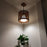 Octa Beige & Brown Wooden Single Hanging Lamp