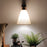 Terzo Brown Wooden Wall Light