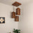 Trikona Brown Cluster Hanging Lamp