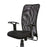 LISA ERGONOMIC OFFICE CHAIR