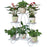 6 Tier Plant Stands for Indoors and Outdoors, Flower Pot Holder